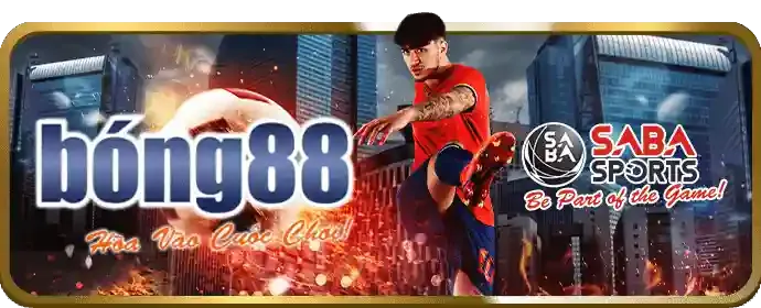 Hoàn trả cược đá gà hàng tuần Bet88